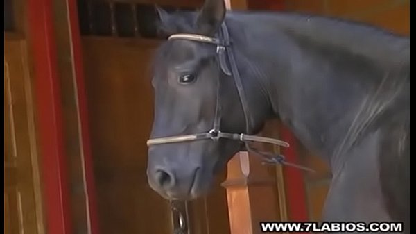 best black stud with big black penis best